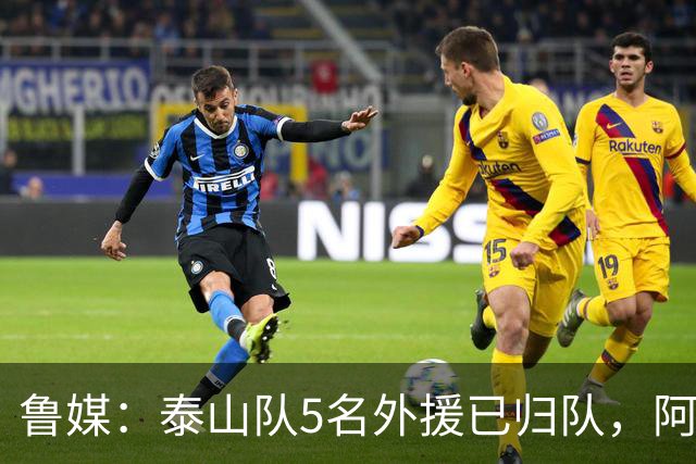 鲁媒：泰山队5名外援已归队，阿尔瓦罗6月份复出难度比较大